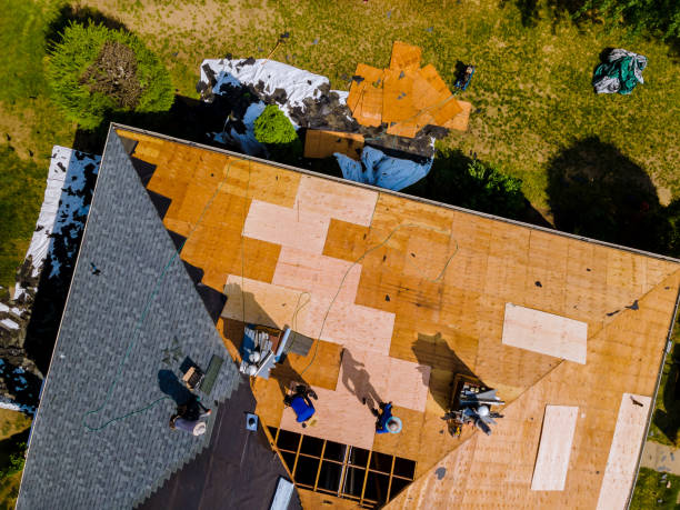 Best Roof Gutter Cleaning  in Desoto, TX